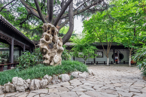 香港美型植髮：打造自然美觀的毛髮新生